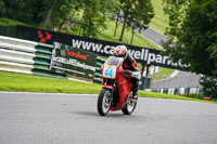 cadwell-no-limits-trackday;cadwell-park;cadwell-park-photographs;cadwell-trackday-photographs;enduro-digital-images;event-digital-images;eventdigitalimages;no-limits-trackdays;peter-wileman-photography;racing-digital-images;trackday-digital-images;trackday-photos